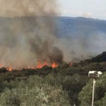 Πυρκαγιά σε δασική έκταση στο Kρυονέρι Αμαλιάδας στην Ηλεία